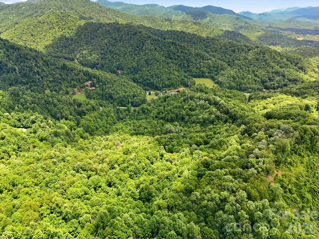Tbd Windy Gap Road Mars Hill NC 28754