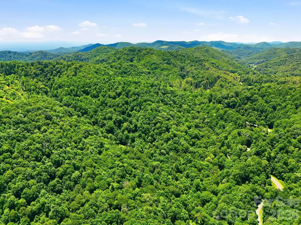 Tbd Windy Gap Road Mars Hill NC 28754