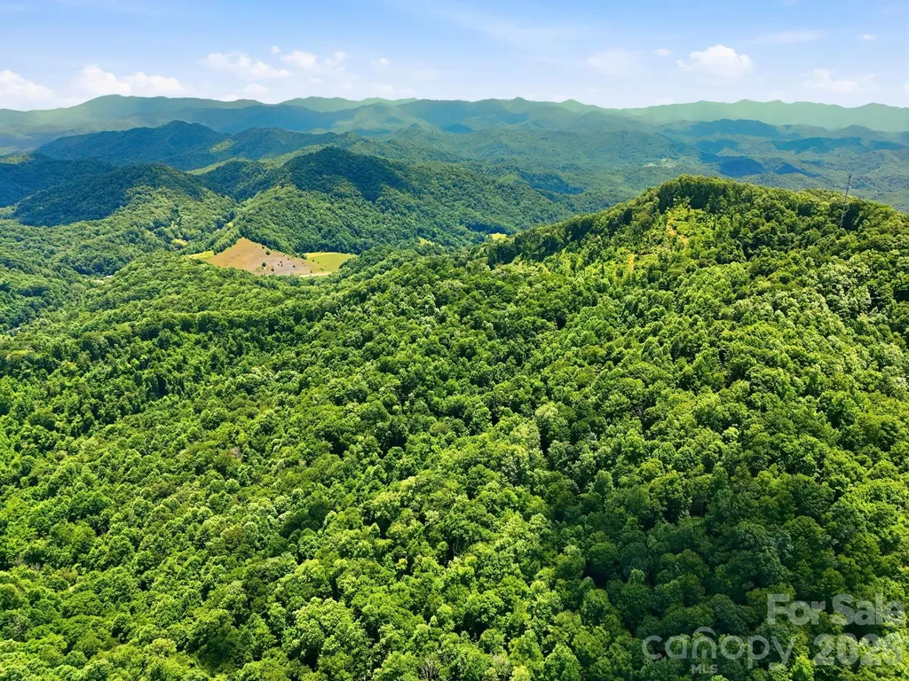 Tbd Windy Gap Road Mars Hill NC 28754