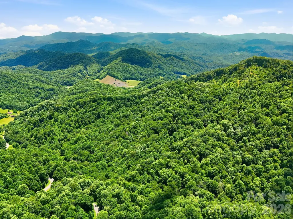 Tbd Windy Gap Road Mars Hill NC 28754