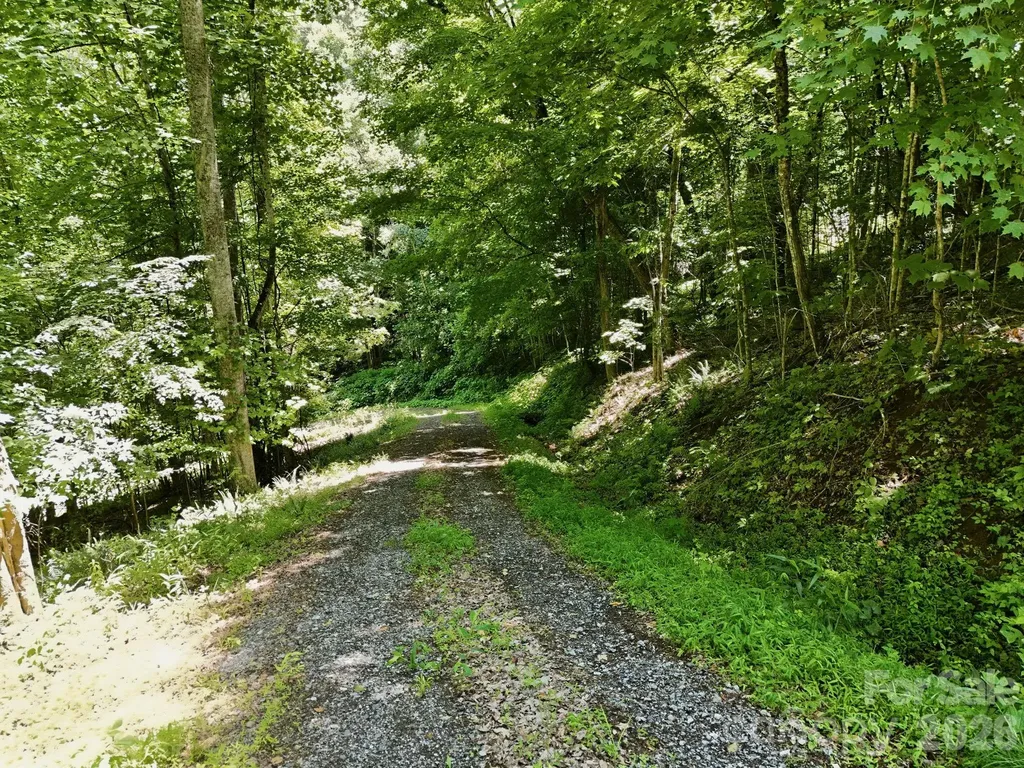 Tbd Windy Gap Road Mars Hill NC 28754