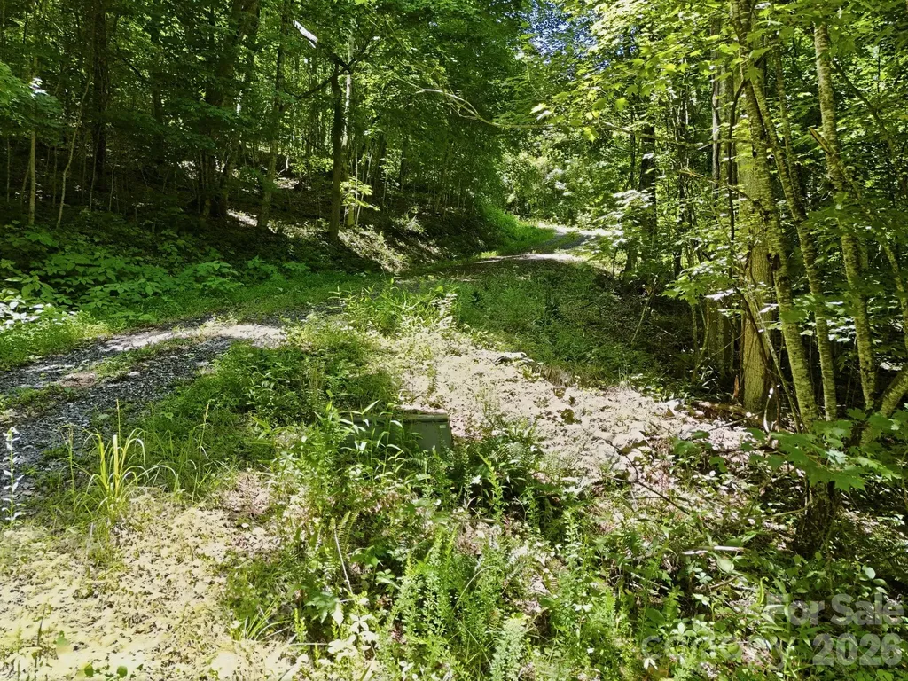 Tbd Windy Gap Road Mars Hill NC 28754