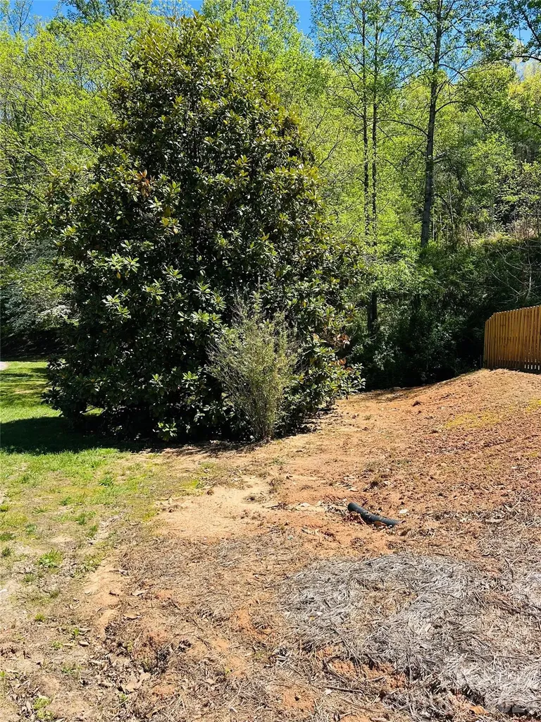 128 W Orchard Street Old Fort NC 28762