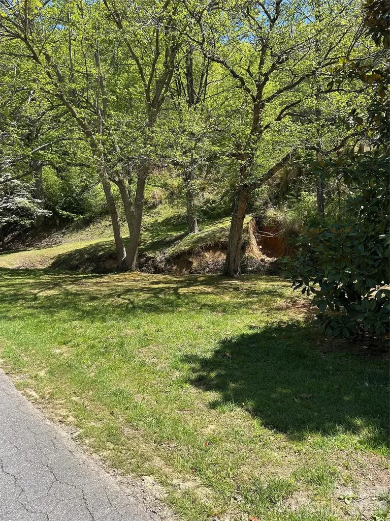 128 W Orchard Street Old Fort NC 28762
