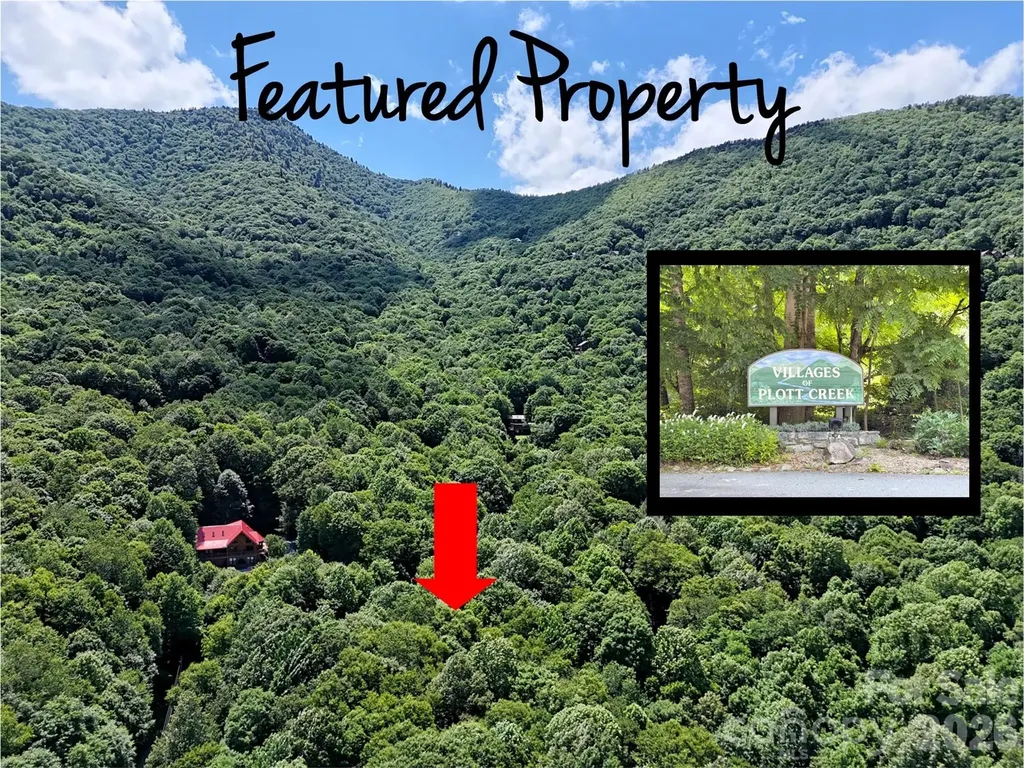 0 Serenity Mountain Road Waynesville NC 28786
