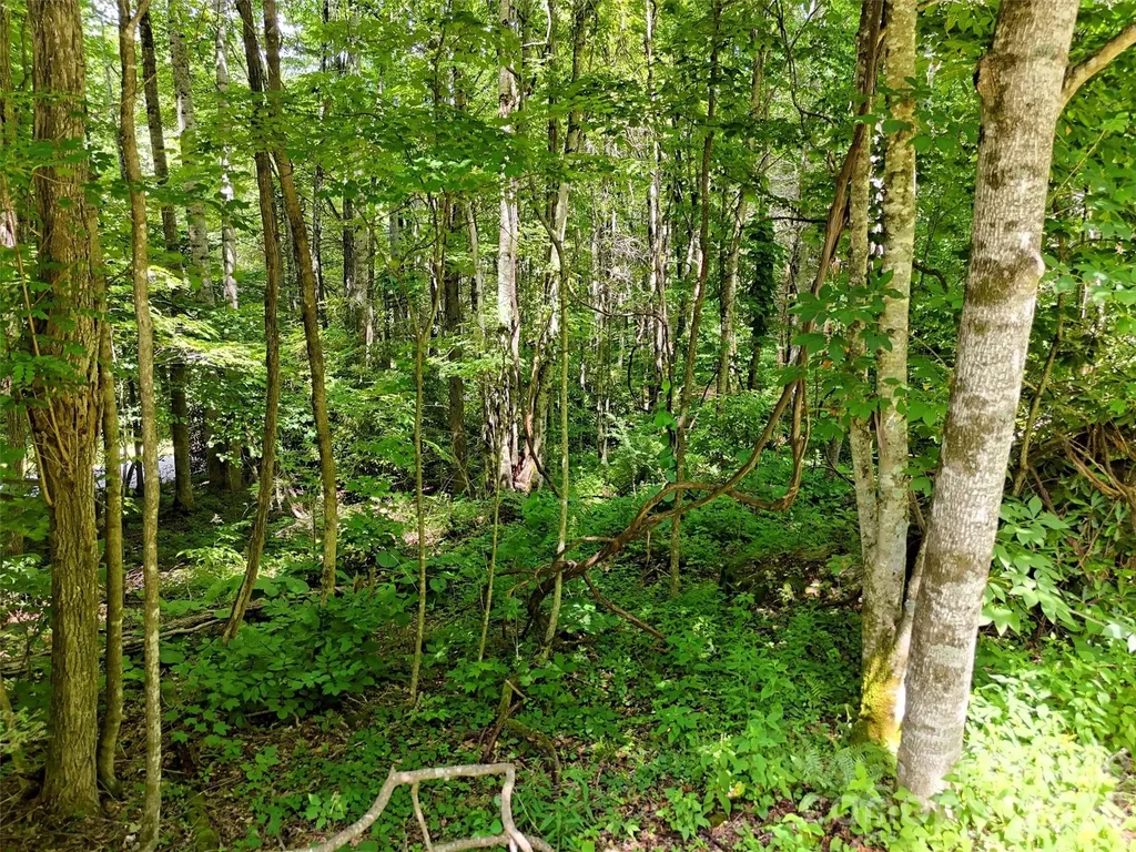 0 Serenity Mountain Road Waynesville NC 28786