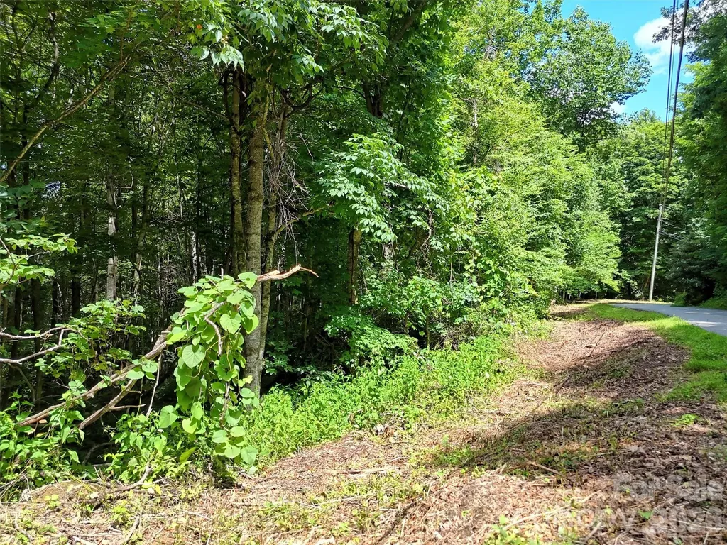 0 Serenity Mountain Road Waynesville NC 28786