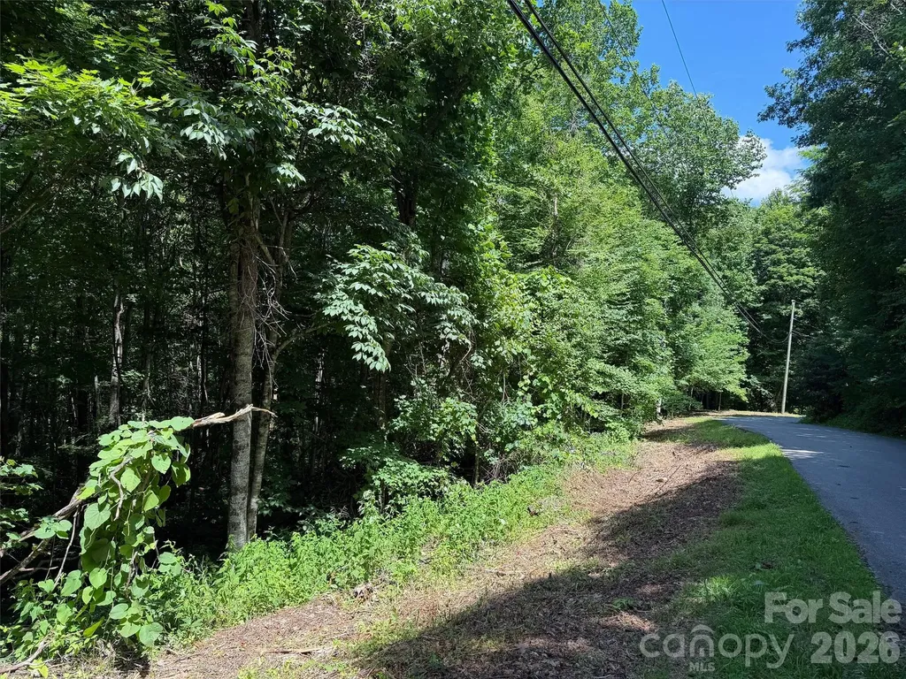 0 Serenity Mountain Road Waynesville NC 28786