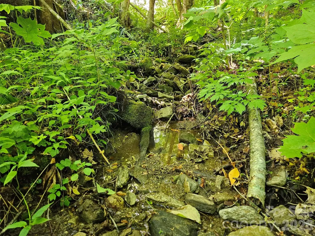 0 Serenity Mountain Road Waynesville NC 28786
