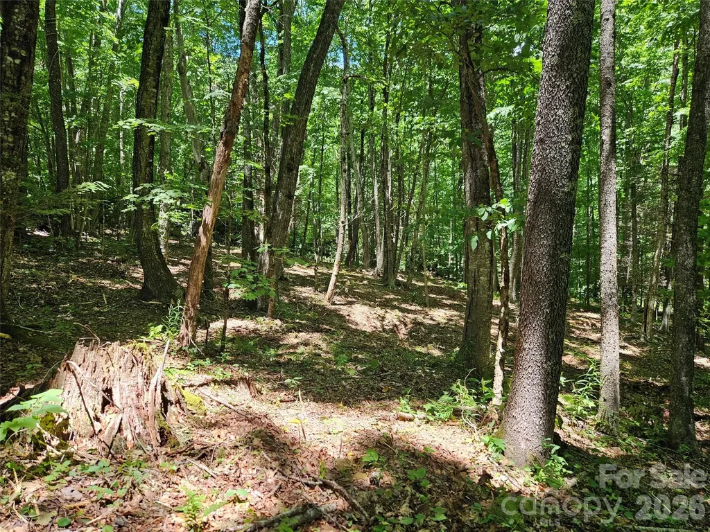 0 Serenity Mountain Road Waynesville NC 28786