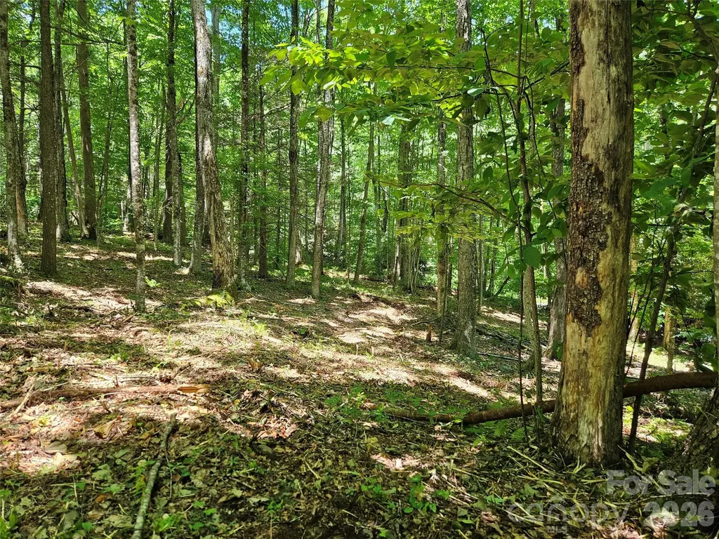 0 Serenity Mountain Road Waynesville NC 28786