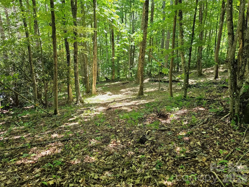 0 Serenity Mountain Road Waynesville NC 28786