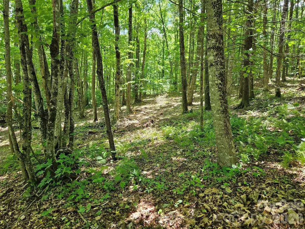 0 Serenity Mountain Road Waynesville NC 28786