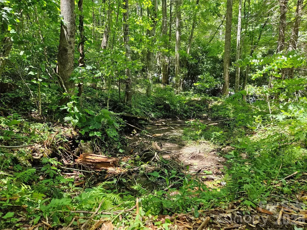 0 Serenity Mountain Road Waynesville NC 28786