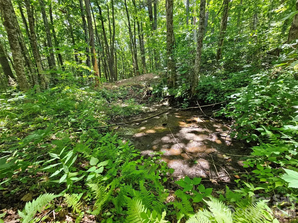 0 Serenity Mountain Road Waynesville NC 28786