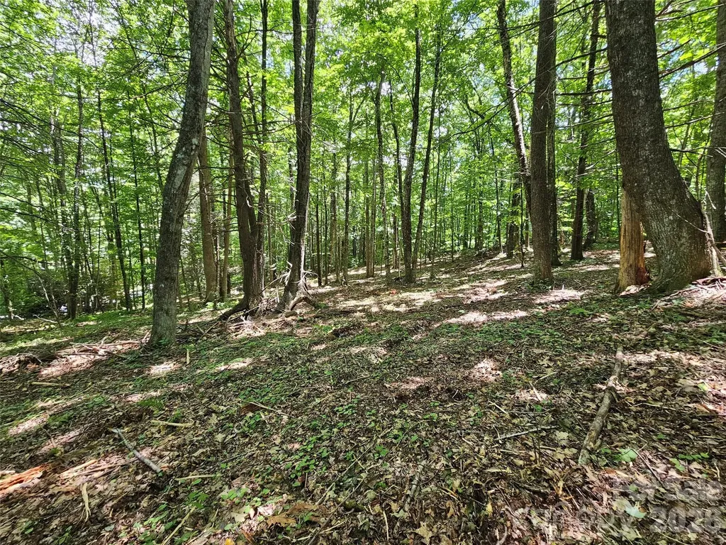 0 Serenity Mountain Road Waynesville NC 28786