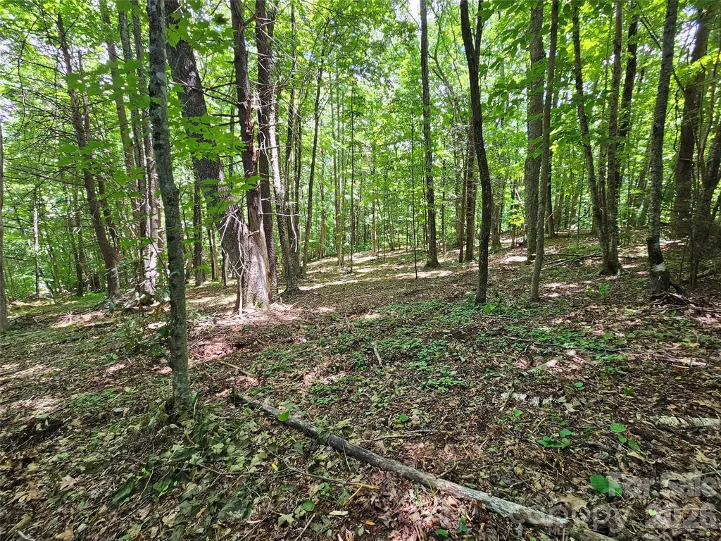 0 Serenity Mountain Road Waynesville NC 28786