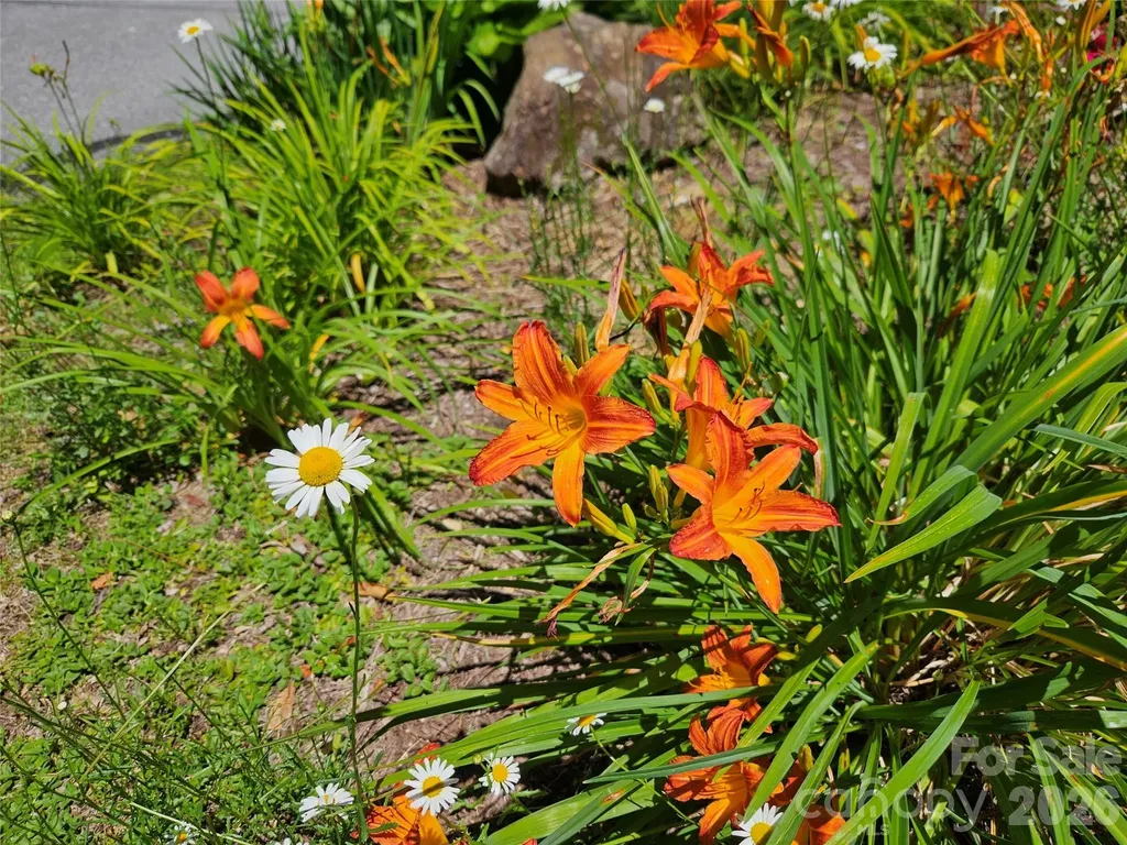 0 Serenity Mountain Road Waynesville NC 28786