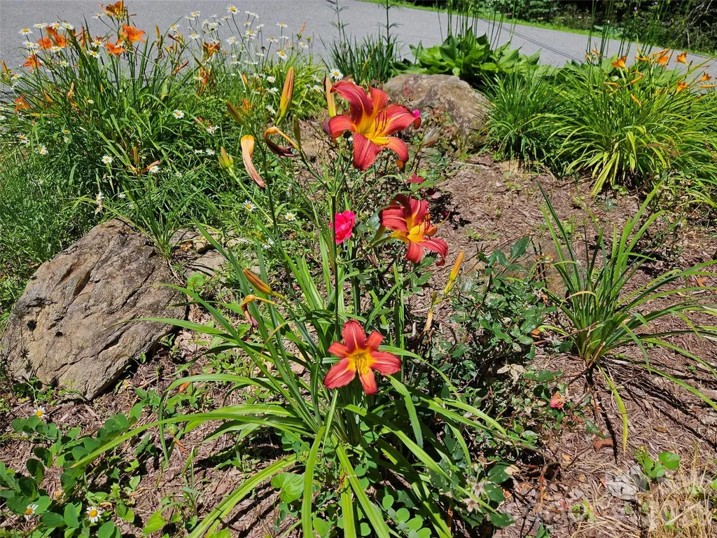 0 Serenity Mountain Road Waynesville NC 28786