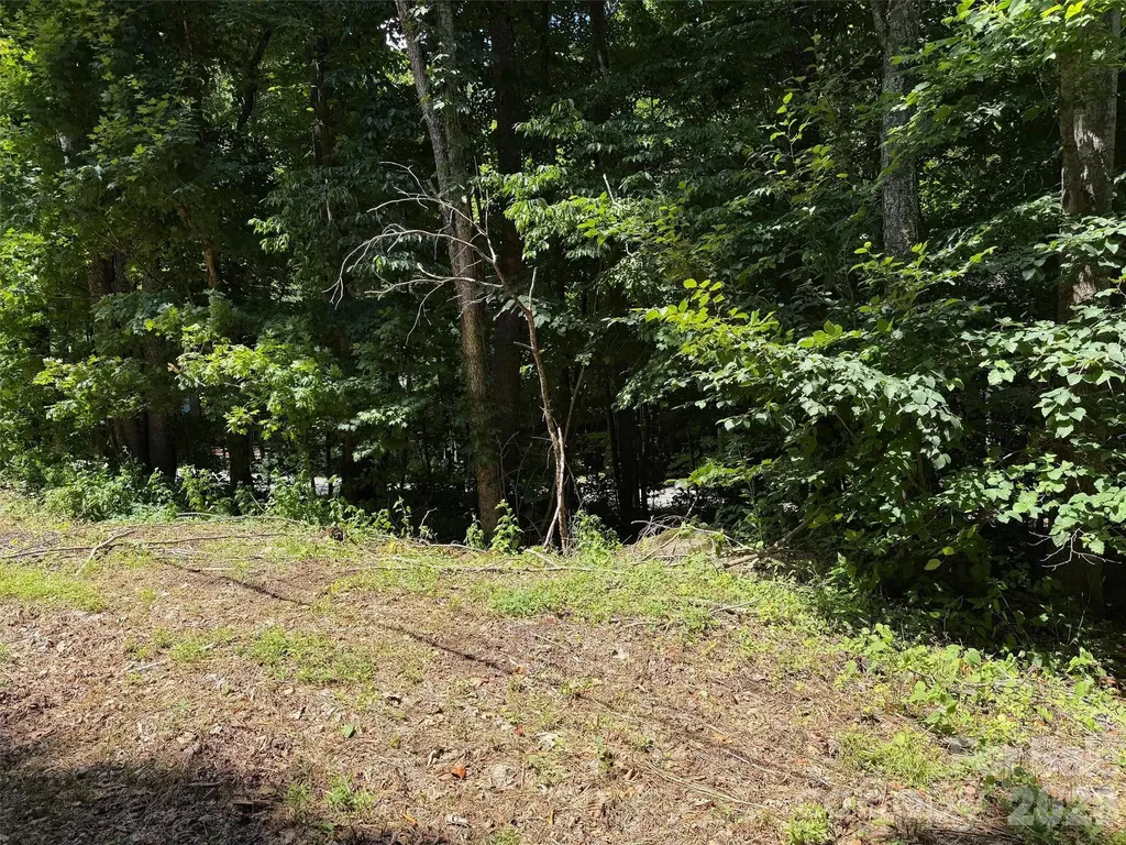 0 Serenity Mountain Road Waynesville NC 28786