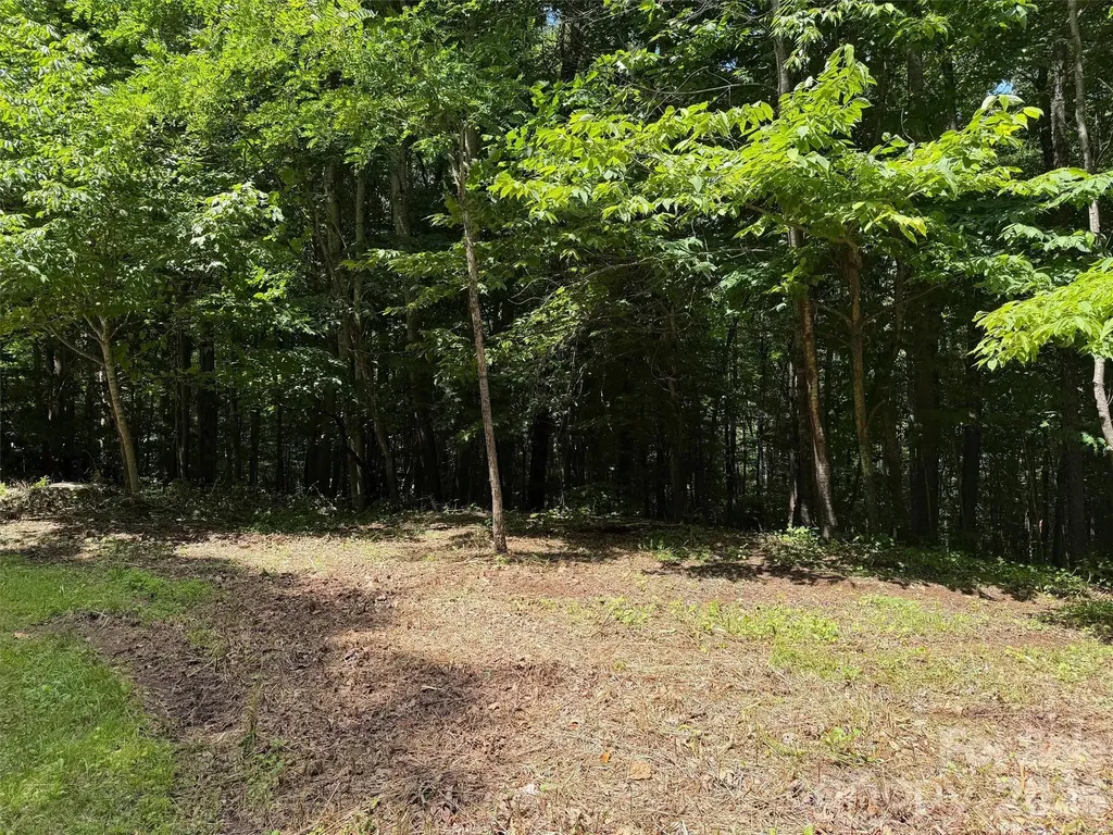 0 Serenity Mountain Road Waynesville NC 28786