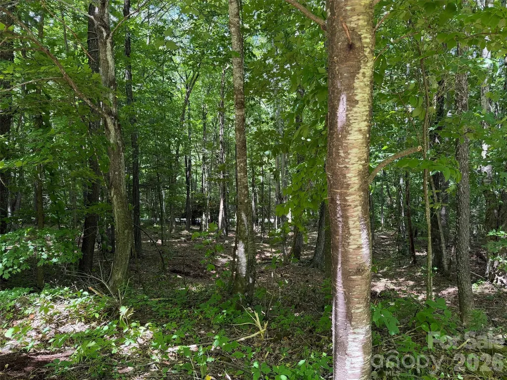 0 Serenity Mountain Road Waynesville NC 28786
