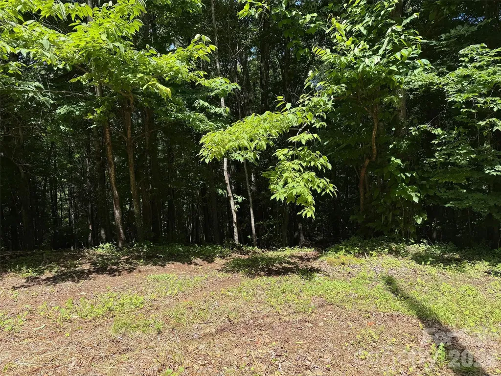 0 Serenity Mountain Road Waynesville NC 28786