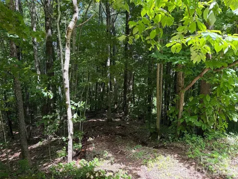 0 Serenity Mountain Road Waynesville NC 28786