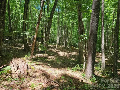 0 Serenity Mountain Road Waynesville NC 28786