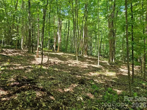 0 Serenity Mountain Road Waynesville NC 28786