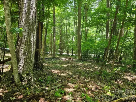 0 Serenity Mountain Road Waynesville NC 28786