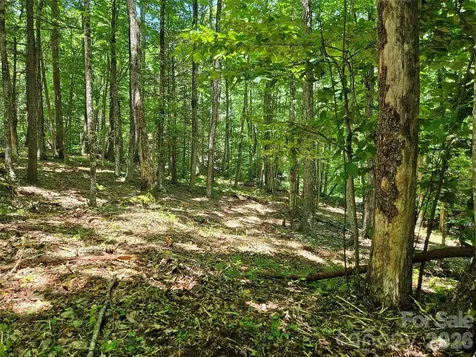 0 Serenity Mountain Road Waynesville NC 28786