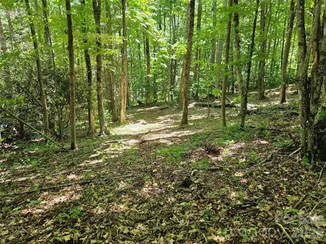 0 Serenity Mountain Road Waynesville NC 28786