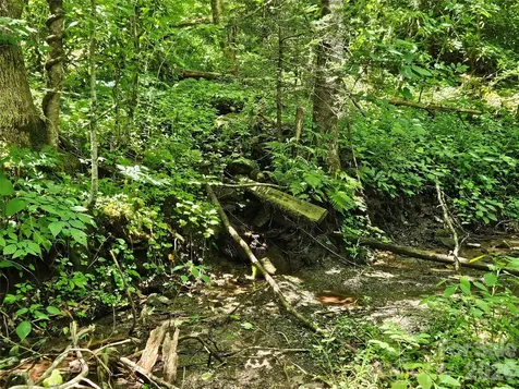 0 Serenity Mountain Road Waynesville NC 28786