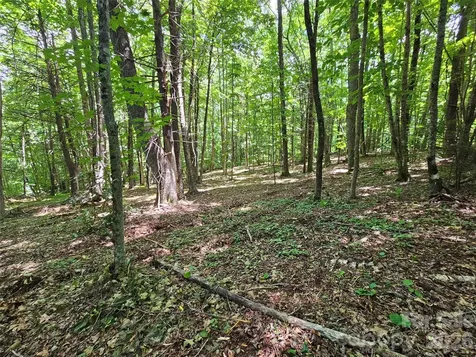 0 Serenity Mountain Road Waynesville NC 28786