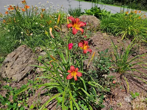 0 Serenity Mountain Road Waynesville NC 28786