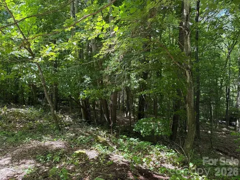 0 Serenity Mountain Road Waynesville NC 28786