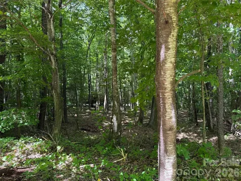 0 Serenity Mountain Road Waynesville NC 28786