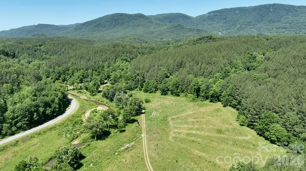 1194 Palmer Road Mill Spring NC 28756