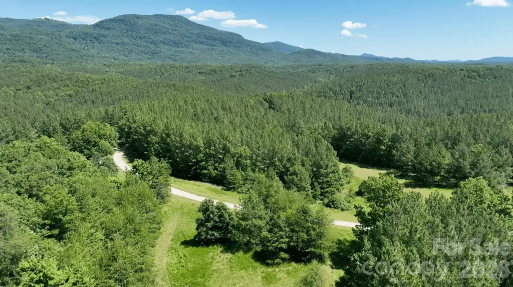 1194 Palmer Road Mill Spring NC 28756