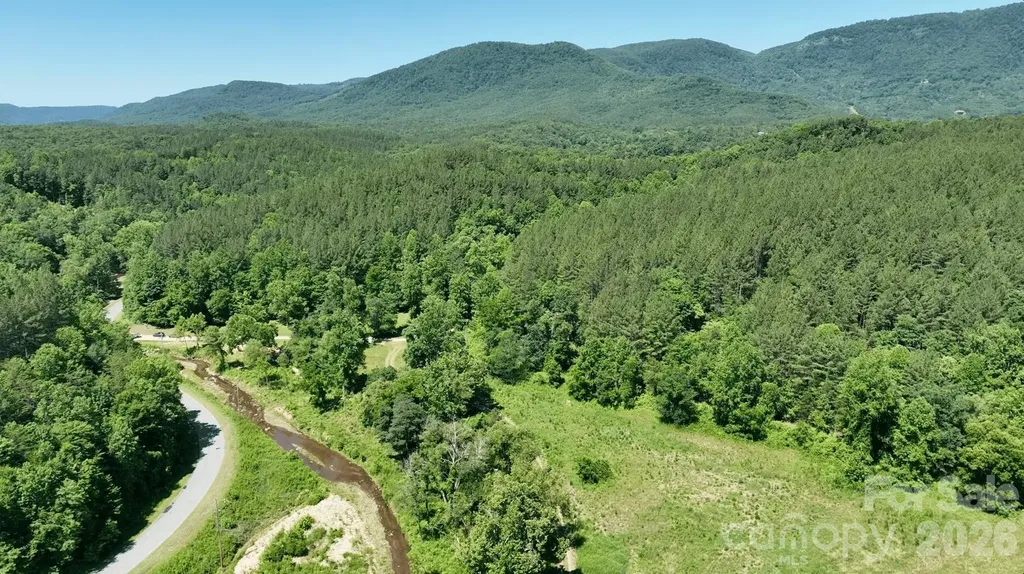 1194 Palmer Road Mill Spring NC 28756