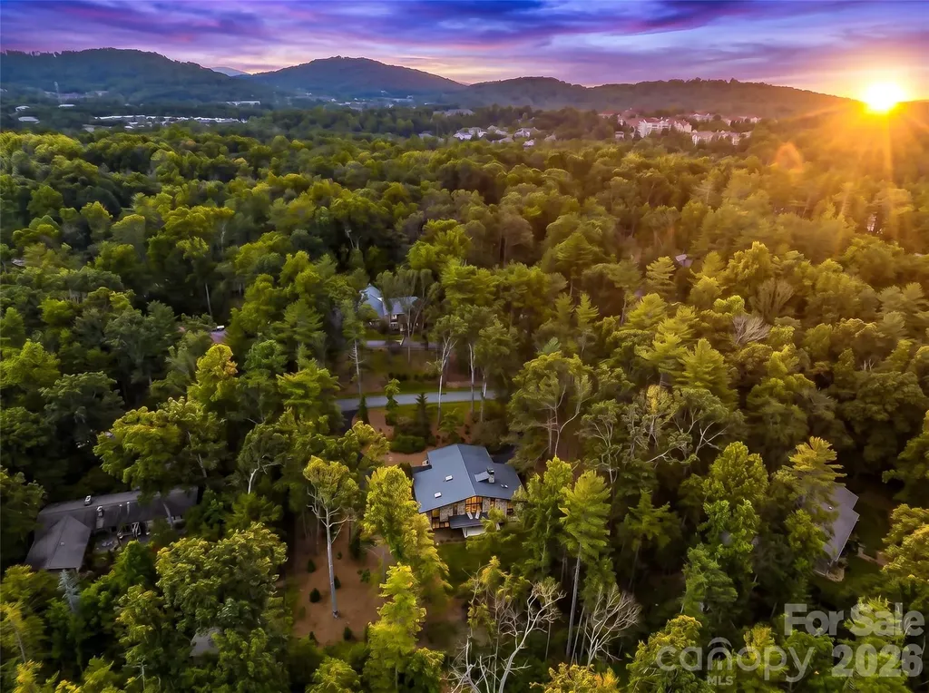 3 Holly Hill Road Biltmore Forest NC 28803