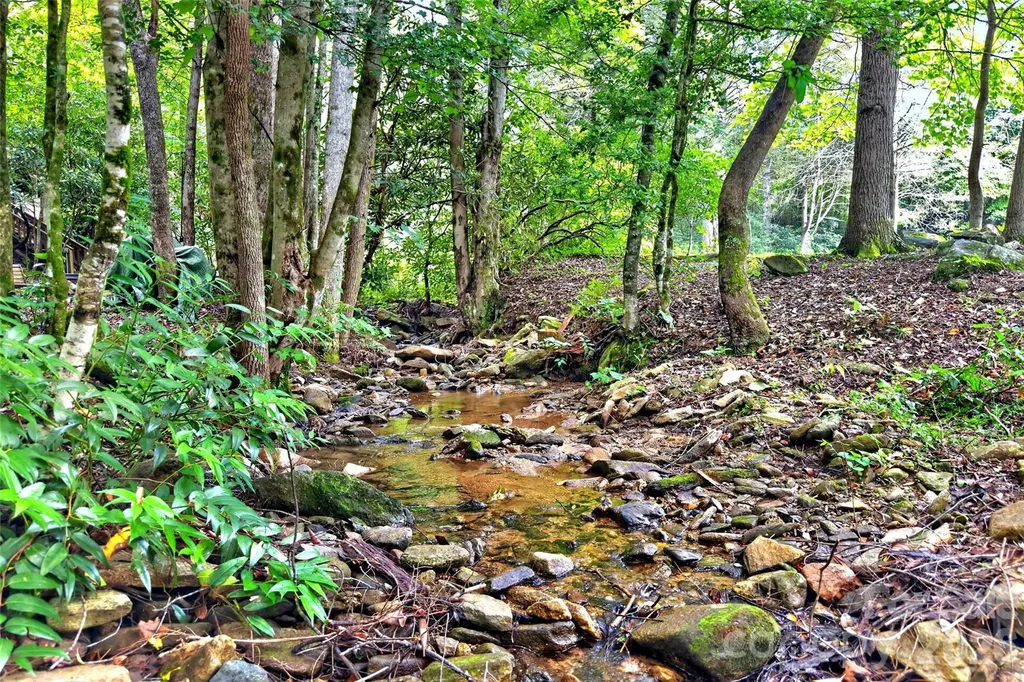 664 Paxton Creek Road Marion NC 28752