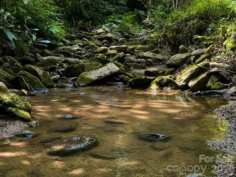 664 Paxton Creek Road Marion NC 28752