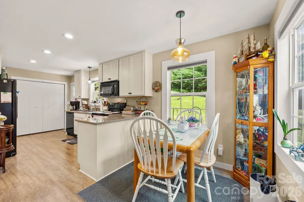 54 Thad Johnson Road Saluda NC 28773