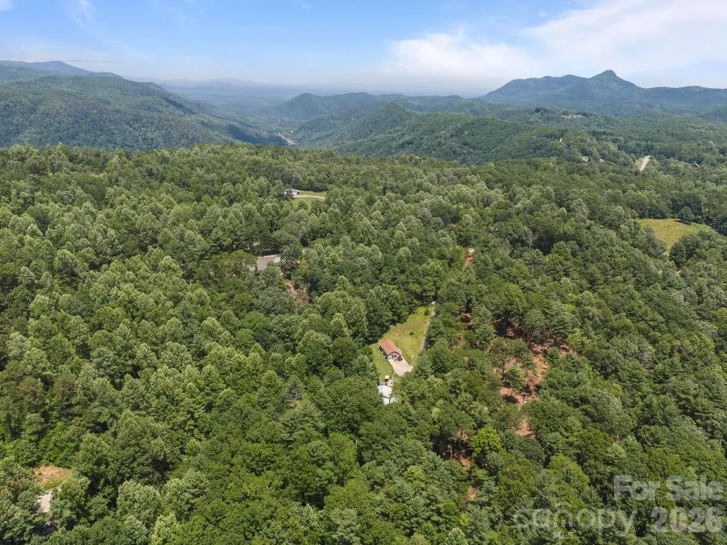 54 Thad Johnson Road Saluda NC 28773