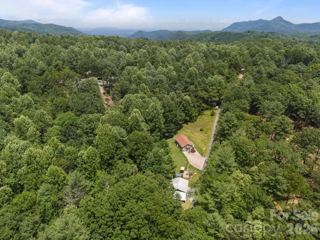 54 Thad Johnson Road Saluda NC 28773