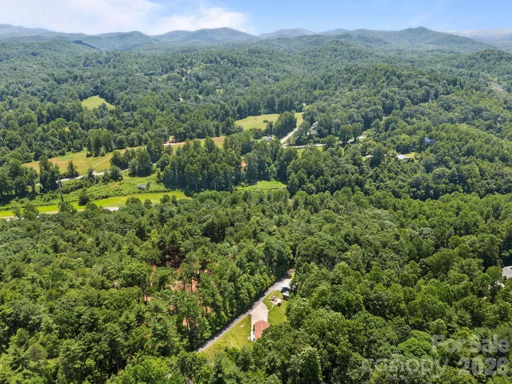 54 Thad Johnson Road Saluda NC 28773