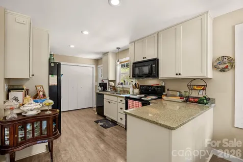 54 Thad Johnson Road Saluda NC 28773
