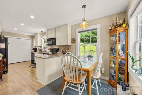 54 Thad Johnson Road Saluda NC 28773